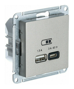 Розетка USB+USB type C Systeme Electric ATLASDESIGN, скрытый монтаж, шампань, ATN000529